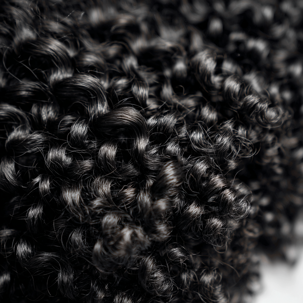 Premium Brazilian Deep Curly Hair Extensions - Tierra Nicole Hair, Fishers, Indiana